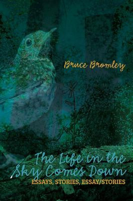 The Life in the Sky Comes Down: Essays, Stories, Essay/Story (Bromley Bruce D.)(Paperback)