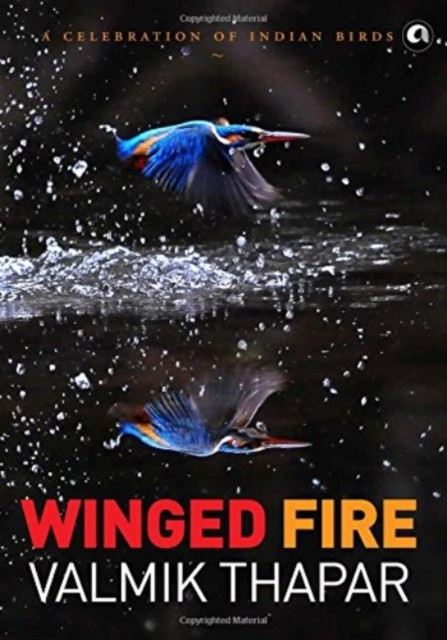 Winged Fire: A Celebration of Indian Birds, Part 3 of The Indian Wildlife Trilogy (Thapar Valmik)(Pevná vazba)