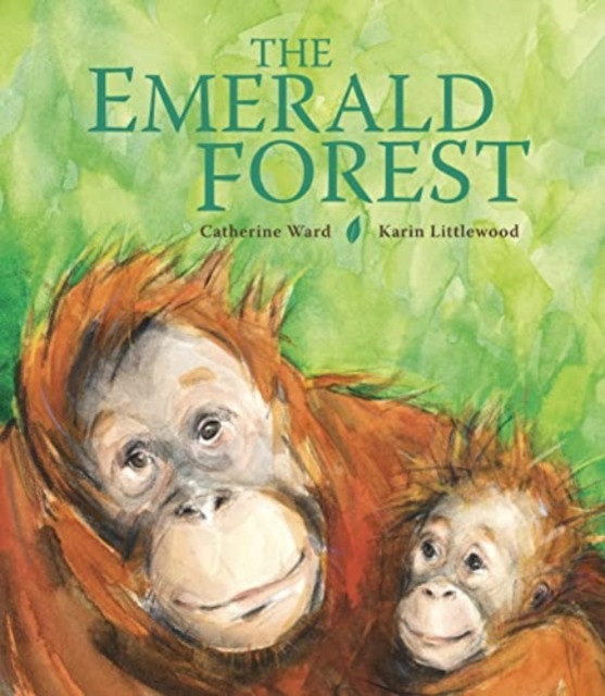 Emerald Forest (Ward Catherine)(Paperback / softback)