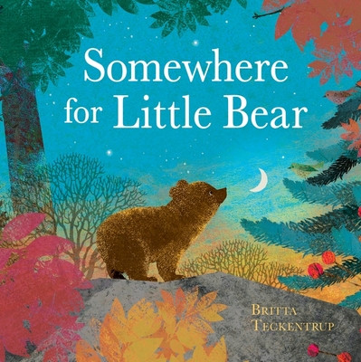 Somewhere for Little Bear (Teckentrup Britta)(Paperback / softback)