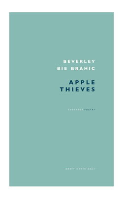 Apple Thieves (Brahic Beverley Bie)(Paperback)