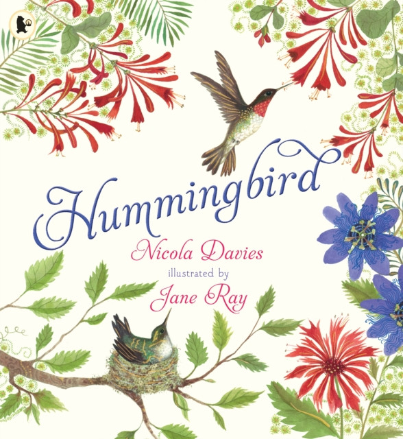 Hummingbird (Davies Nicola)(Paperback / softback)