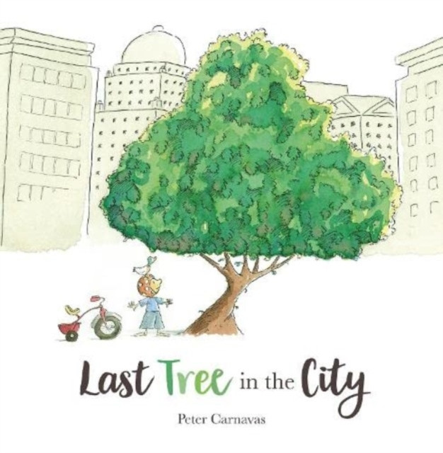 Last Tree in the City (Carnavas Peter)(Paperback / softback)