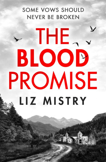 Blood Promise (Mistry Liz)(Paperback / softback)