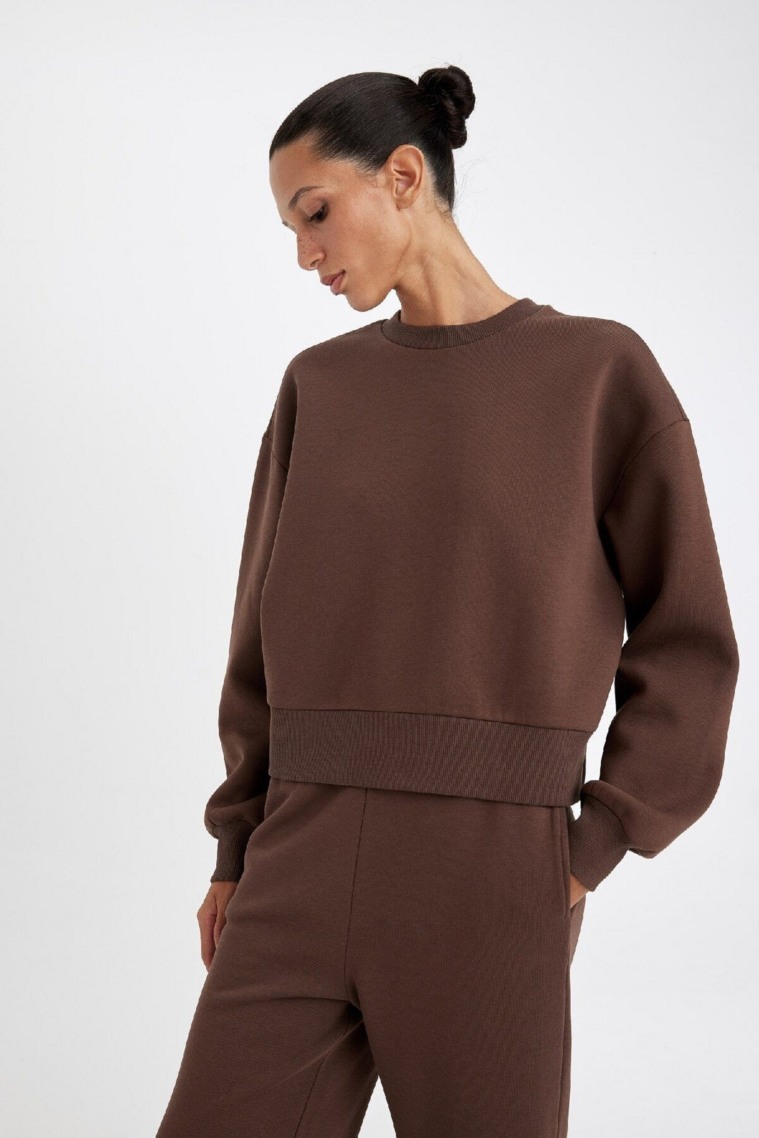 DEFACTO Boxy Fit Crew Neck Thick Sweatshirt