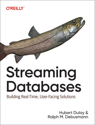 Streaming Databases: Unifying Batch and Stream Processing (Dulay Hubert)(Paperback)