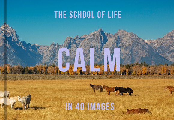 Calm in 40 Images: The Art of Finding Serenity (Life The School of)(Pevná vazba)