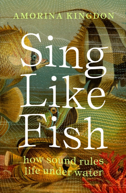 Sing Like Fish - how sound rules life under water (Kingdon Amorina)(Paperback / softback)