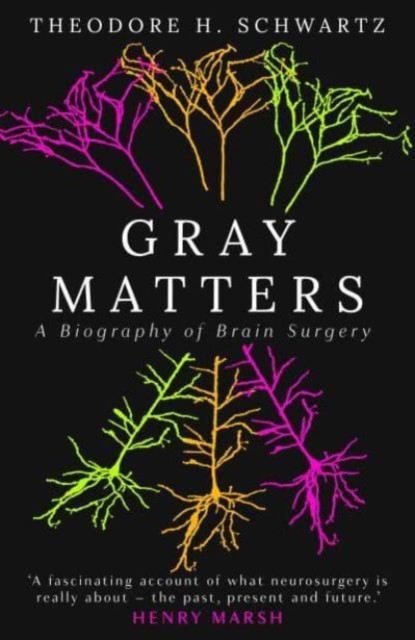 Gray Matters - A Biography of Brain Surgery (Schwartz Theodore)(Pevná vazba)