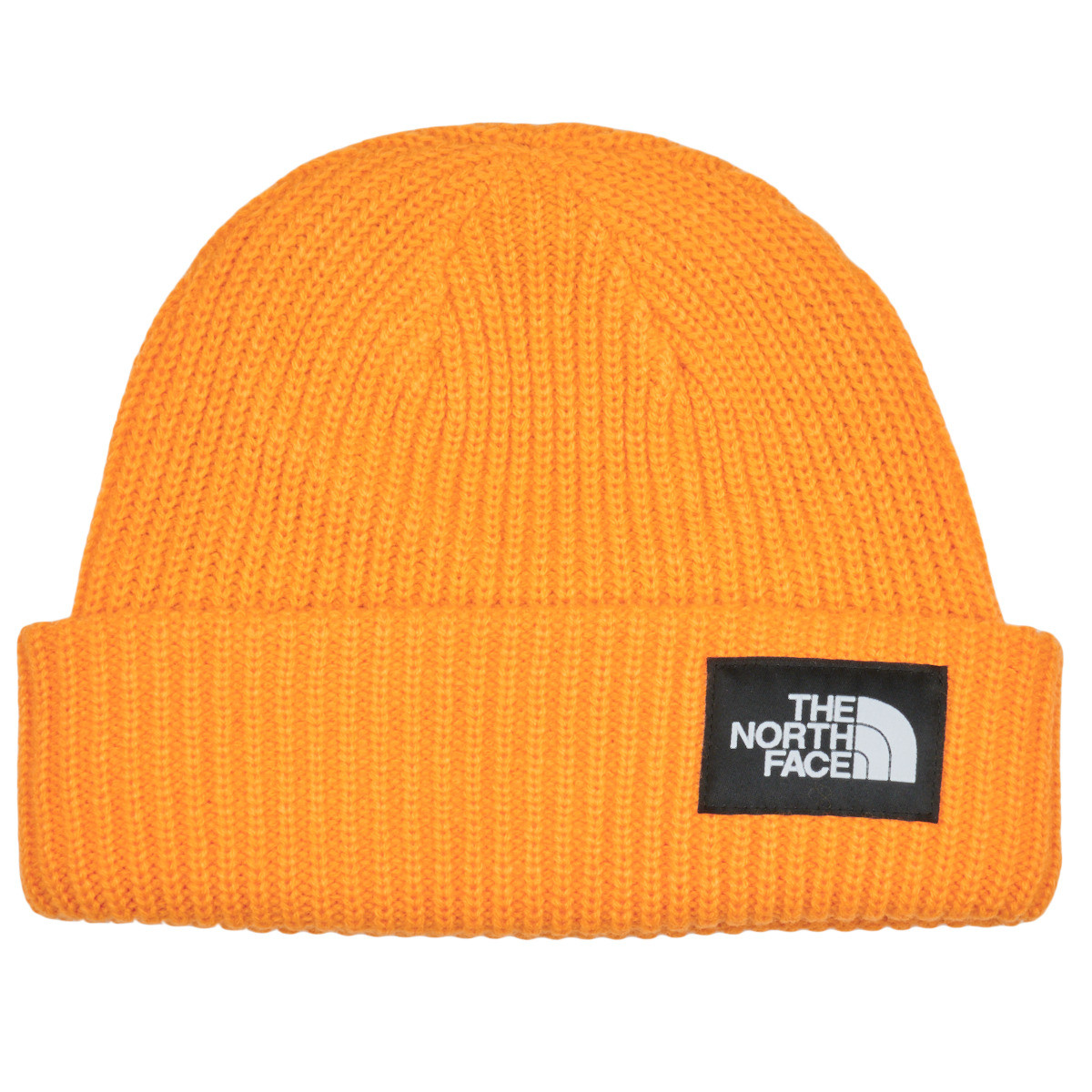 The North Face  SALTY LINED BEANIE  Žlutá