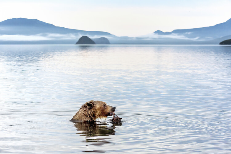 Giuseppe DAmico Fotografie Kurile Lake, Giuseppe DAmico, 40 × 26.7 cm