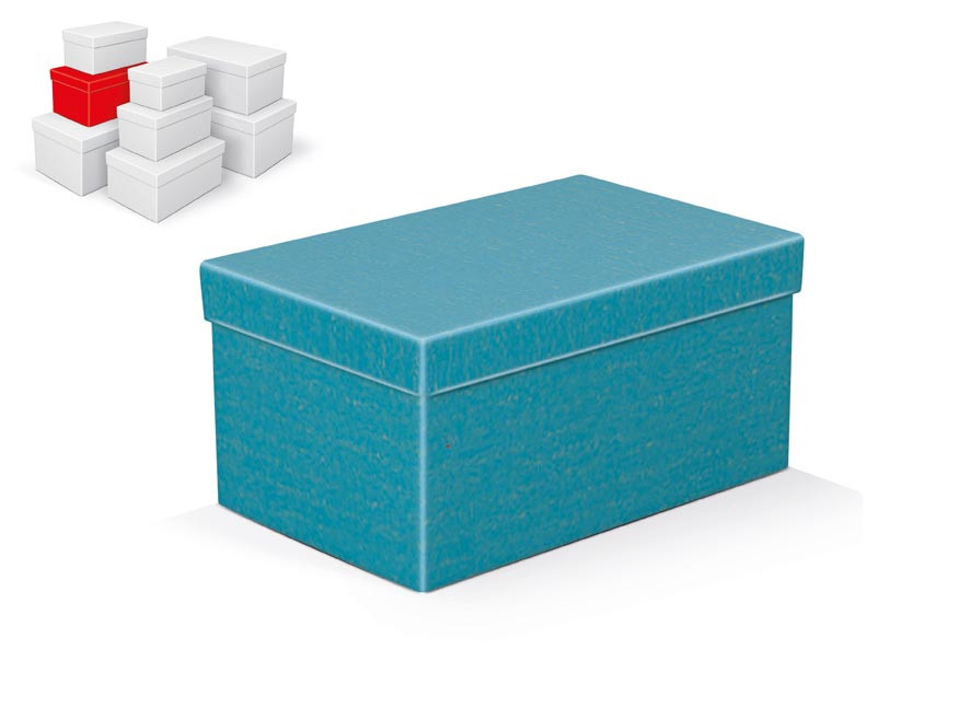 MFP 5371234 Krabice dárková B-C010-D 22x14x11cm