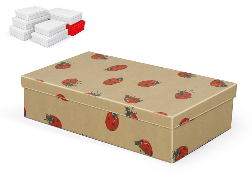 MFP 5371230 Krabice dárková A-C009-G 36x22x9cm