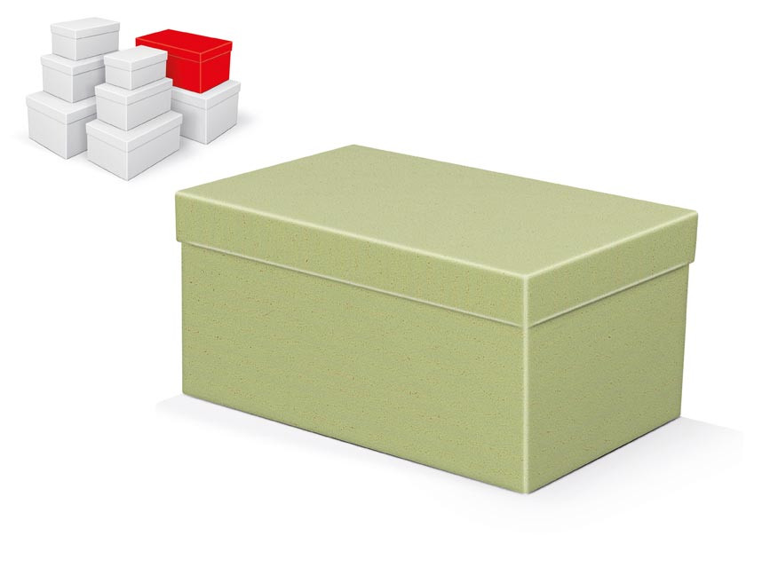 MFP 5371236 Krabice dárková B-C010-F 26x17x13cm