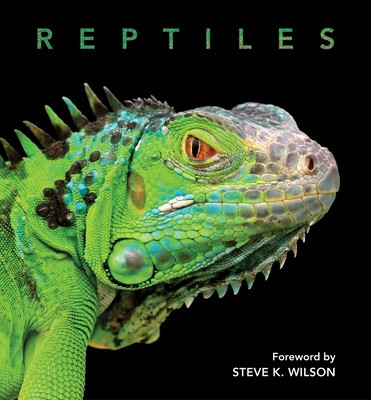 Reptiles (Wilson Steve)(Pevná vazba)