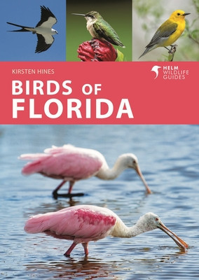Birds of Florida (Hines Kirsten)(Paperback)
