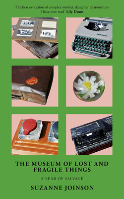 The Museum of Lost and Fragile Things: A Year of Salvage (Joinson Suzanne)(Paperback)