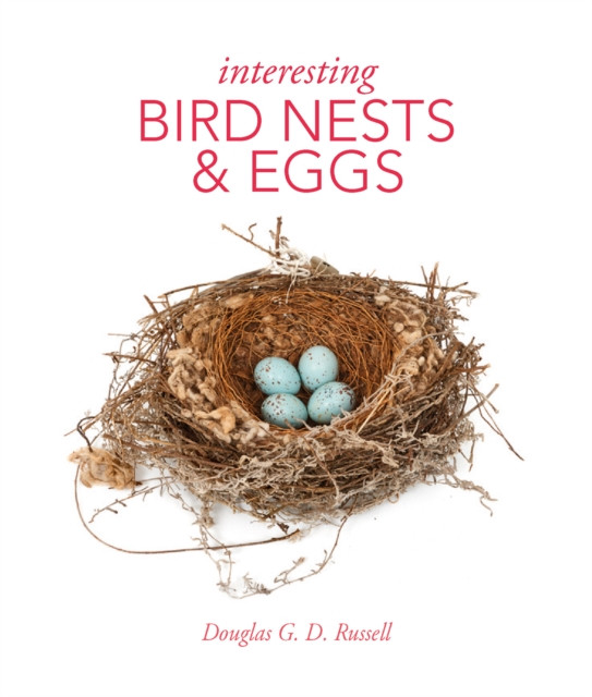 Interesting Bird Nests and Eggs (Russell Douglas)(Pevná vazba)