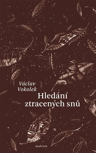 Hledání ztracených snů - Václav Vokolek