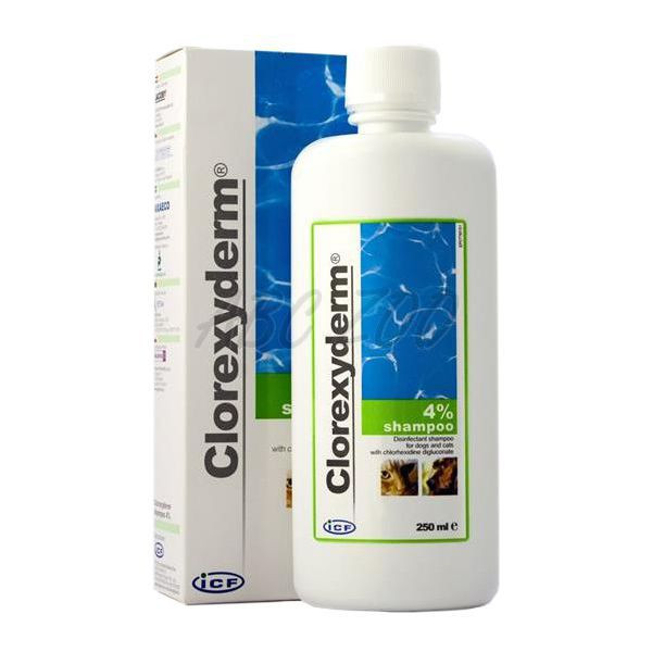 CLOREXYDERM 4% Dezinfekční šampon pro psy a kočky 250 ml