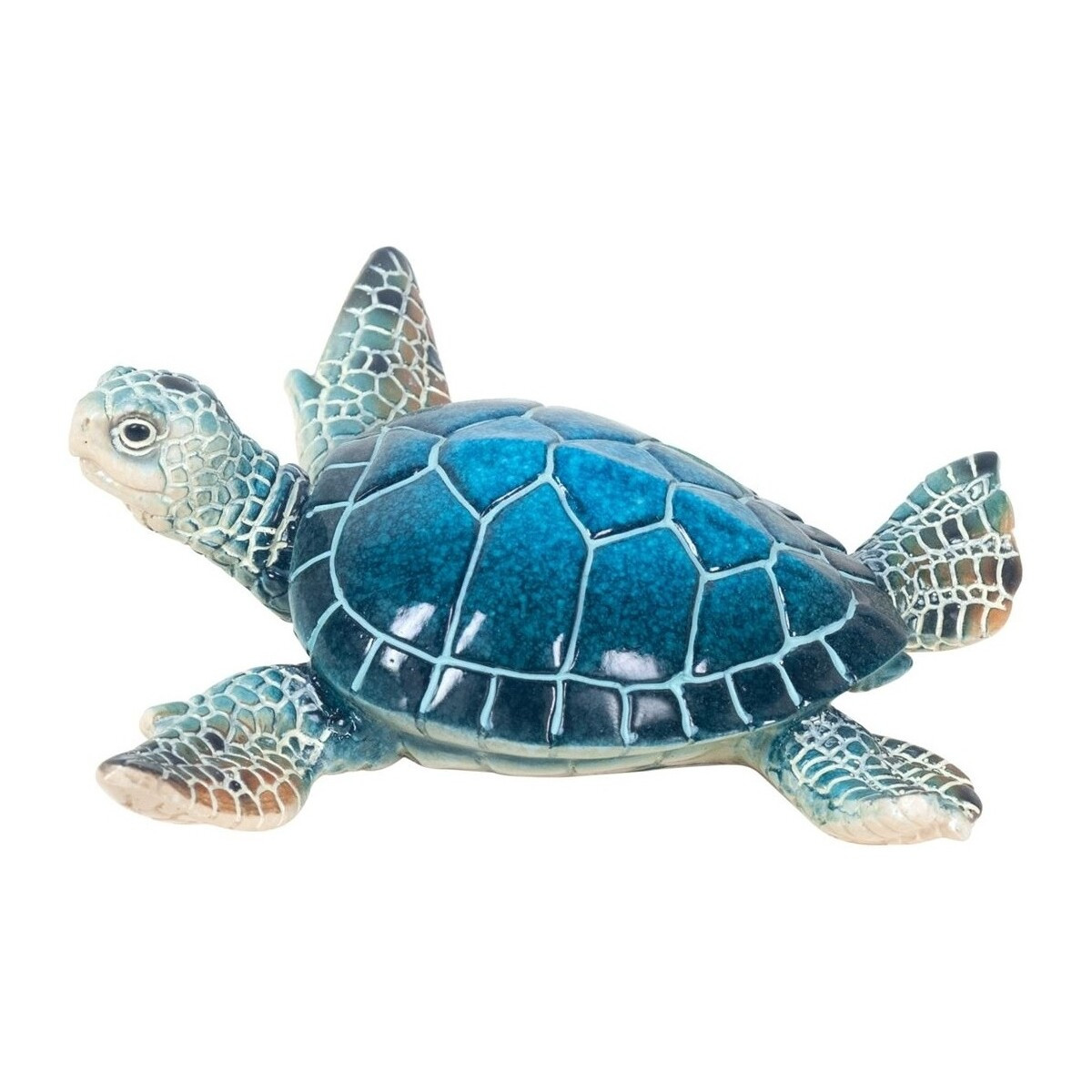 Signes Grimalt  Malá Pryskyřice Želva  Modrá