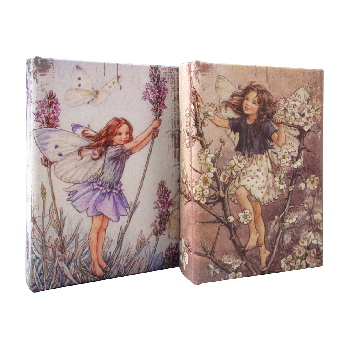 Signes Grimalt  2U Krabice  Hnědá