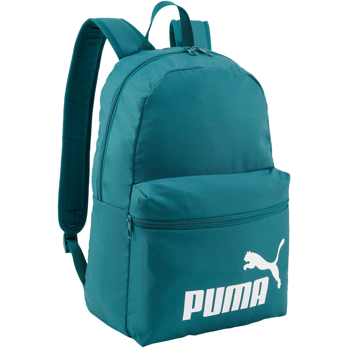 Puma  241116  Zelená