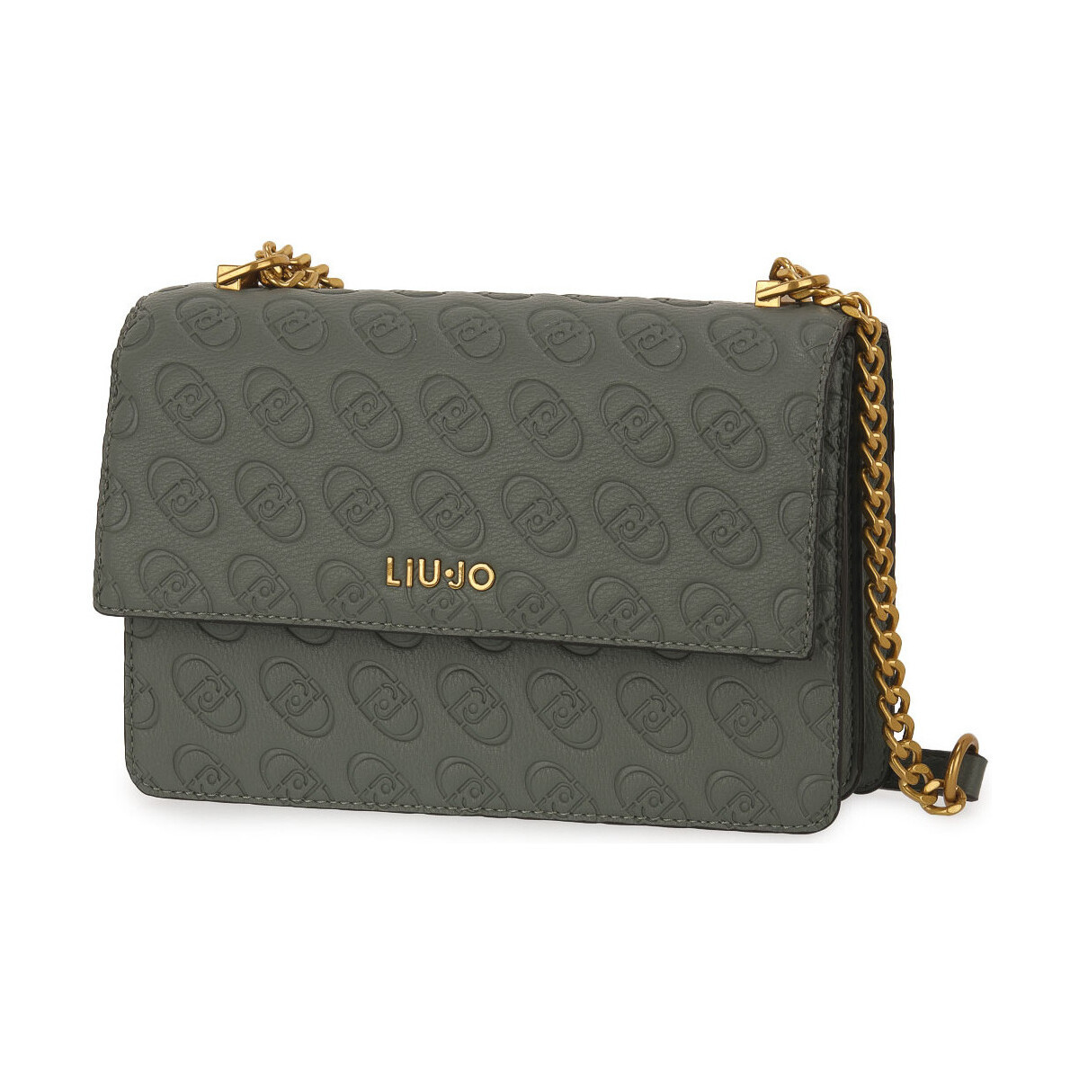 Liu Jo  X0223 M CROSSBODY  Zelená