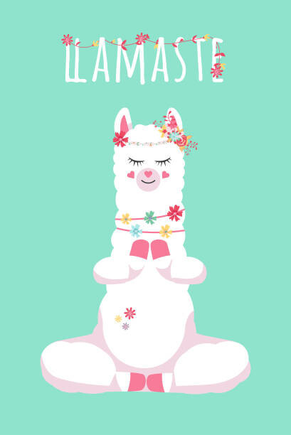 Anna Morozova Ilustrace cute cartoon lama alpaca in youga, Anna Morozova, 26.7 × 40 cm