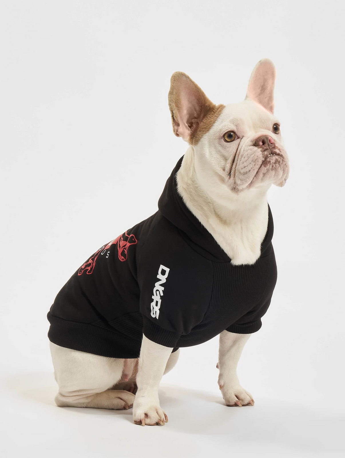 Dámská mikina s krátkým rukávem Bones Dog Hoodie černá