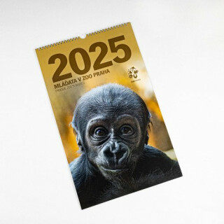 Nástěnný kalendář Zoo Praha 2025