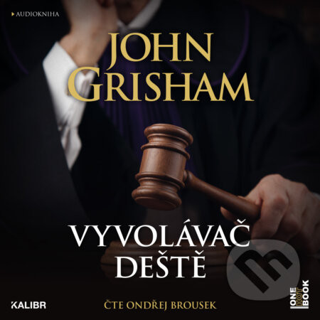 Vyvolávač deště - John Grisham