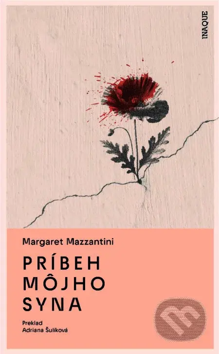 Príbeh môjho syna - Margaret Mazzantini