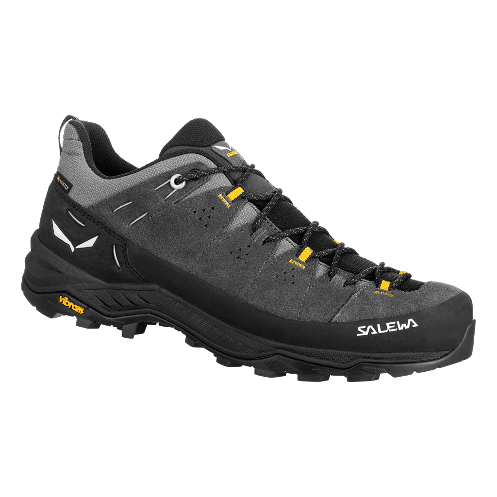 Salewa Alp trainer 2 GTX EU 43, Onyx/Black Pánské trekové boty