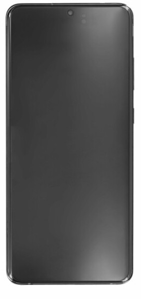 Ory LCD displej pro Samsung Galaxy S20 Ultra 5G