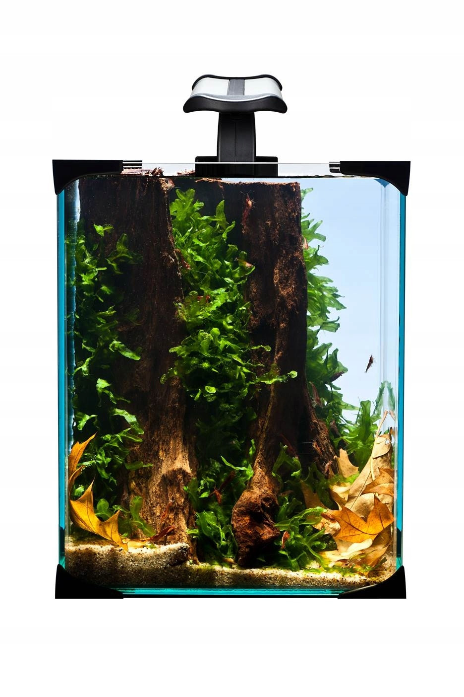 Akvarijní sada Krevetkarium Nano Led 10L