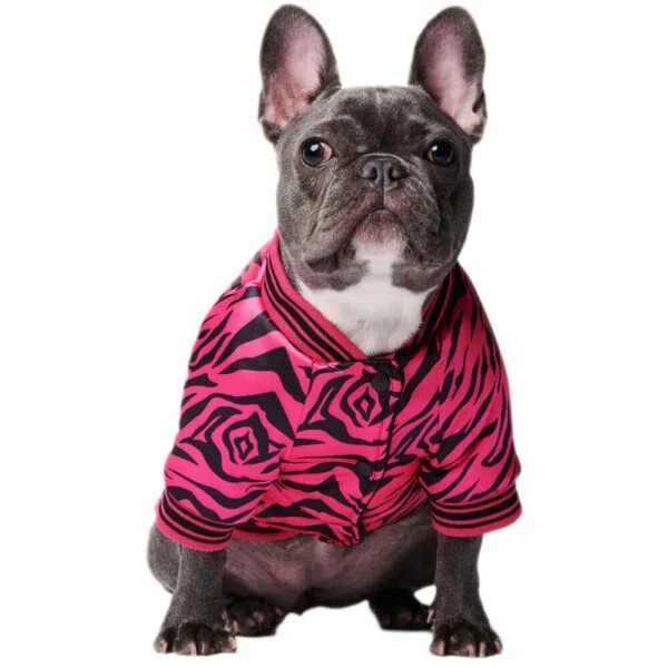 Sametová bomber mikina pro psa Pink Zebra Růžová XXL