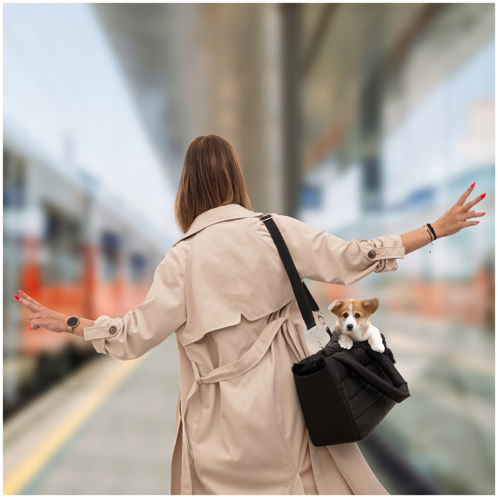 Přepravní taška pro psa, přepravka pro psa s rukojetí