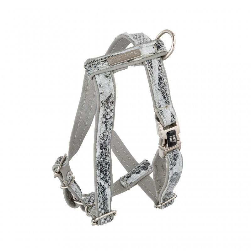 Barry King Postroj pro psa, Wild Snake, šedý, kožený nikl, M