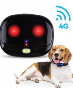 Gps lokátor pro obojek pro psa nebo kočku 4G V43