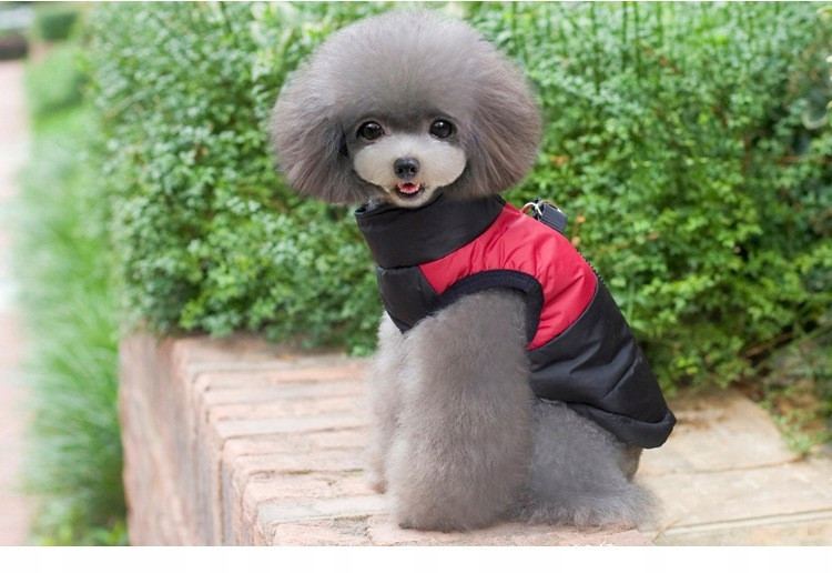 Bunda Pro Velkého Psa Se Zipem Na Zádech Hello Moon Červená Velikost 24