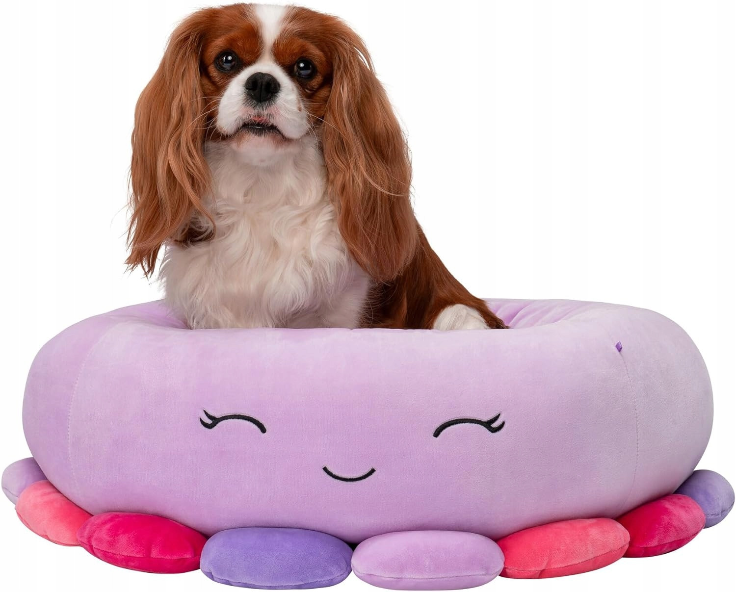 pelíšek pro psa kočku polštář matrace kotec 61x61cm Squishmallows