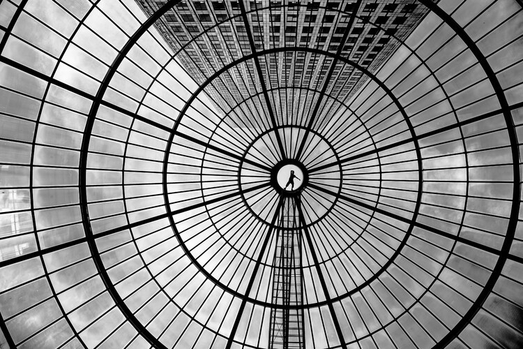 Inge Schuster Fotografie Look up, Inge Schuster, 40 × 26.7 cm