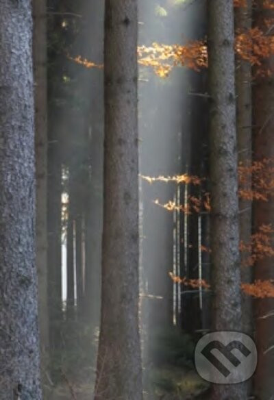 Přijít za svítání - Václav Cílek