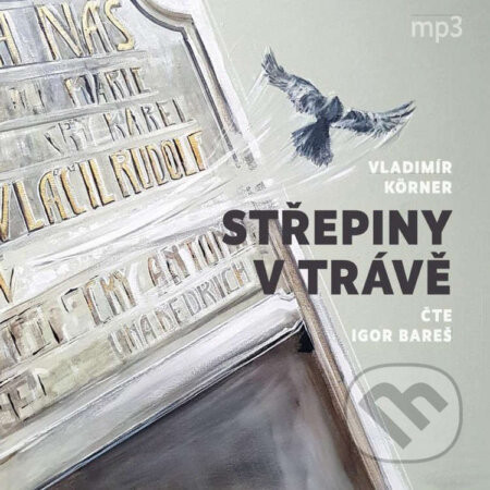 Střepiny v trávě - Vladimír Körner