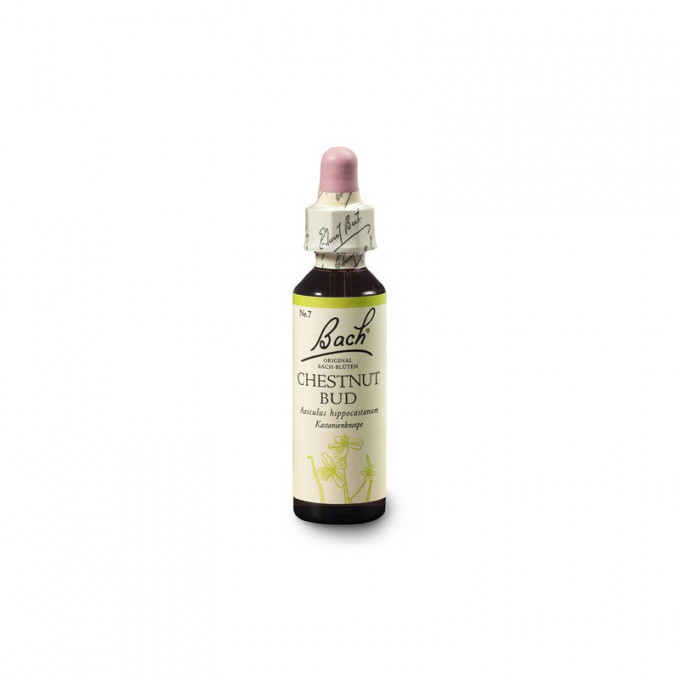 Bach Kaštan koňský, poupě (Chestnut Bud) 20 ml - expirace 12/2024