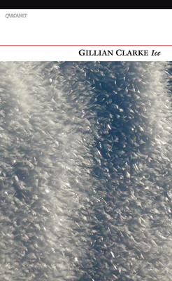 Ice (Clarke Gillian)(Paperback)