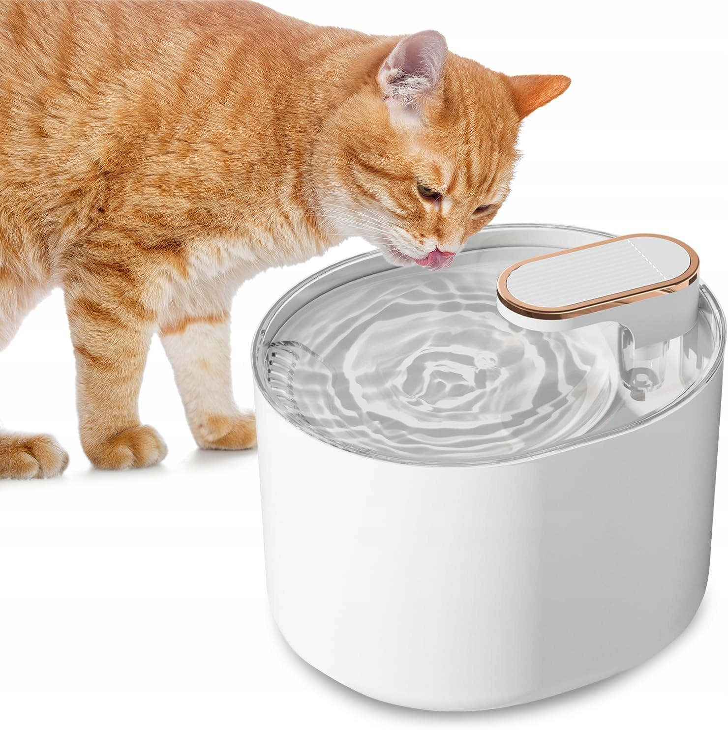 Fontána Pro Kočky 3L S Vestavěným Led a Uhlíkovými Filtry Na Čistou Vodu