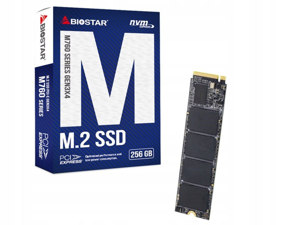 Ssd disk Biostar M760 256GB