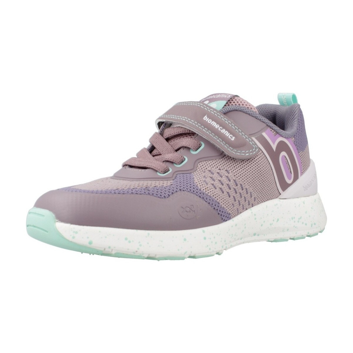 Biomecanics  241271C  Fialová